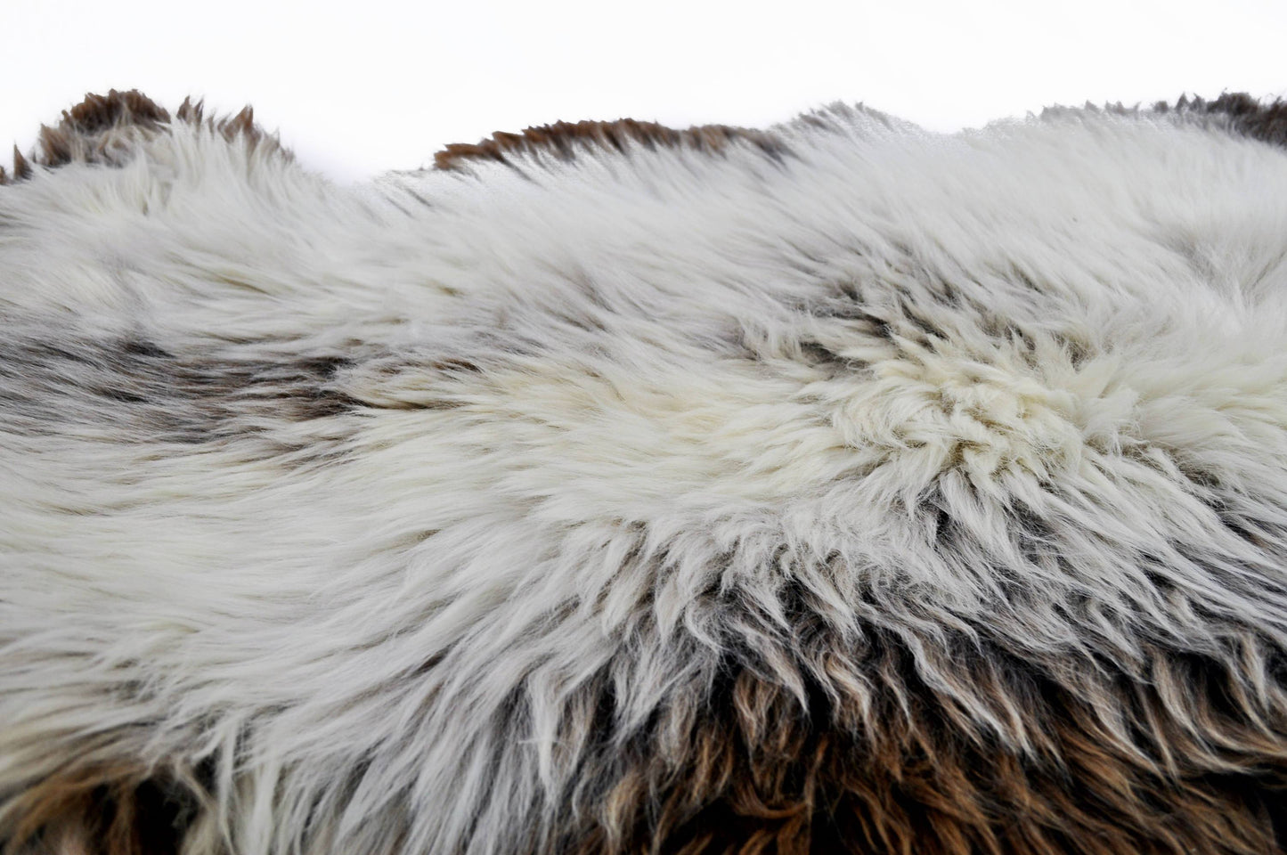 Gray Rare Breed Sheepskin Rug. | HUGE 140cm